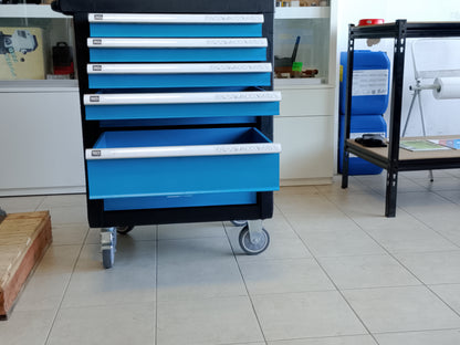 Cassettiera Porta Utensili con 7 Cassetti e 300 Utensili